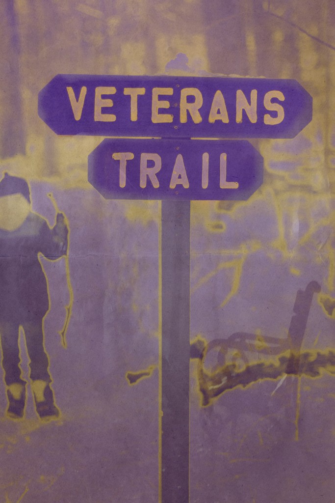 "Veterans Trail" Artwork by Christine Cavalier