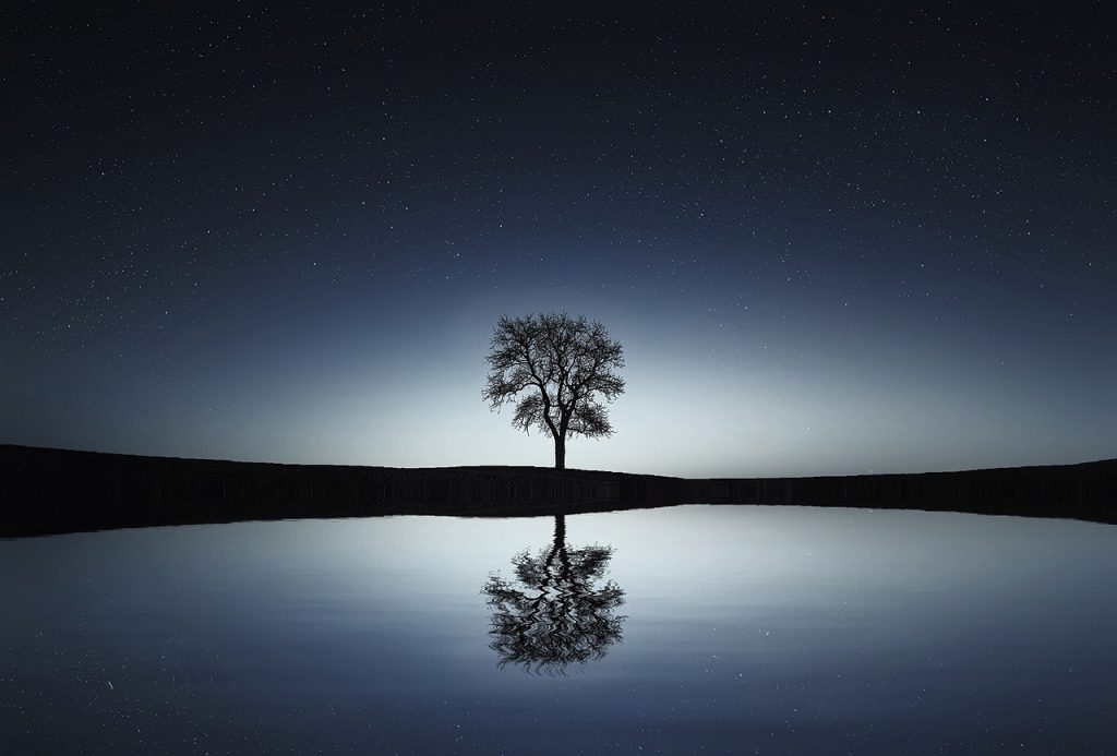 tonal dark horizon with center backlight, silhouetting a lone deciduous tree